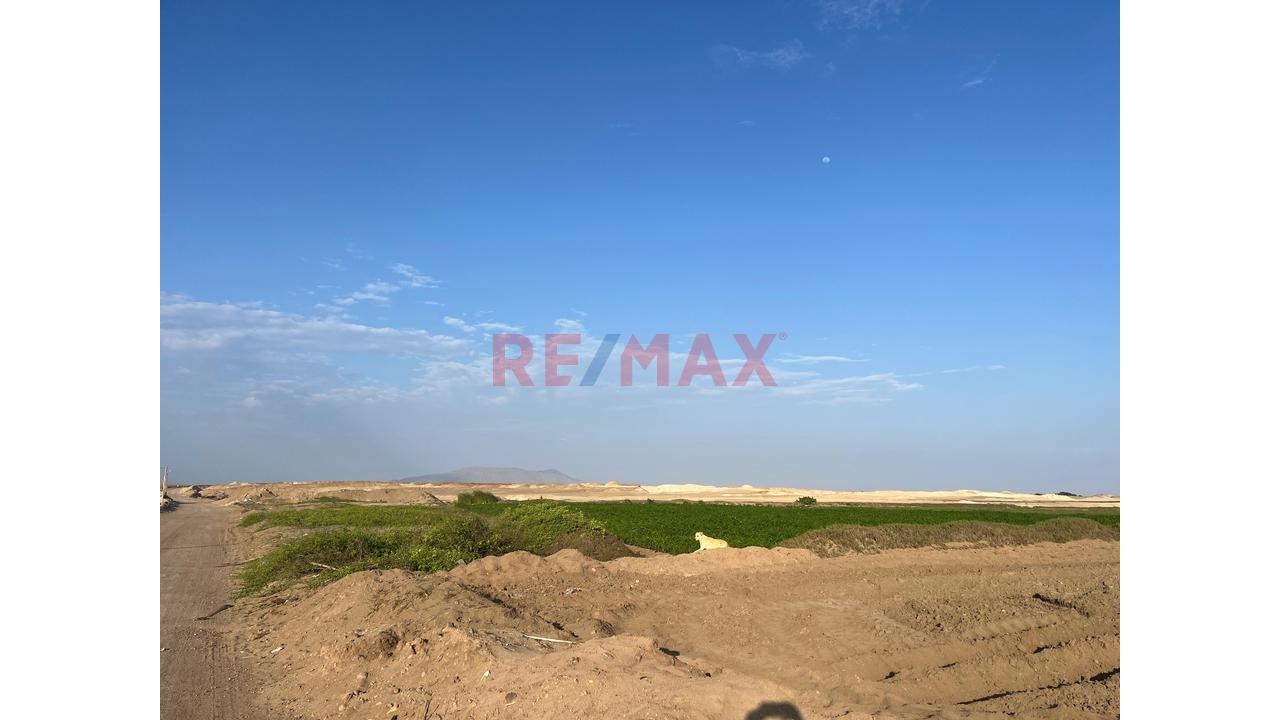 Terreno Rústico De 14,540 M² En Santa Rosa – Lambayeque - 4