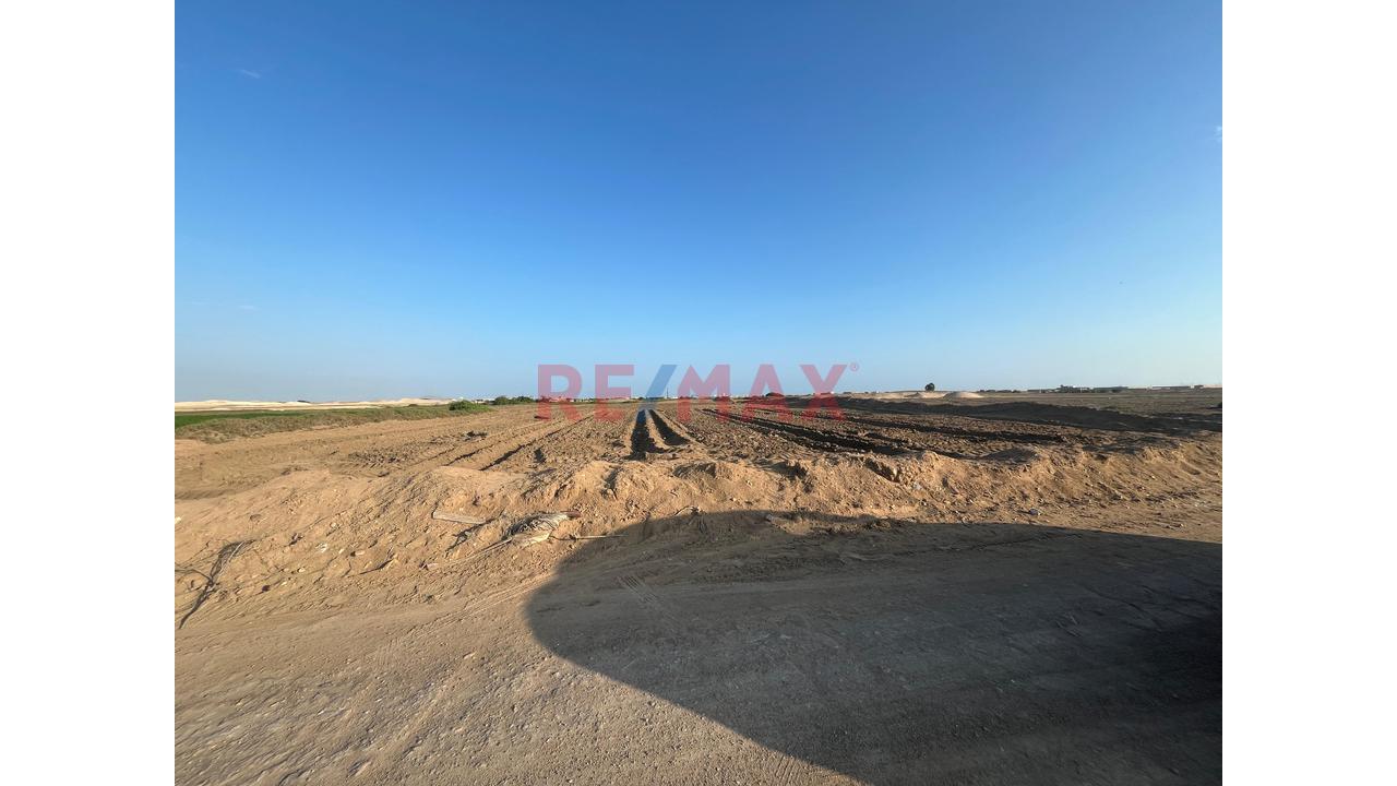 Terreno Rústico De 14,540 M² En Santa Rosa – Lambayeque - 3