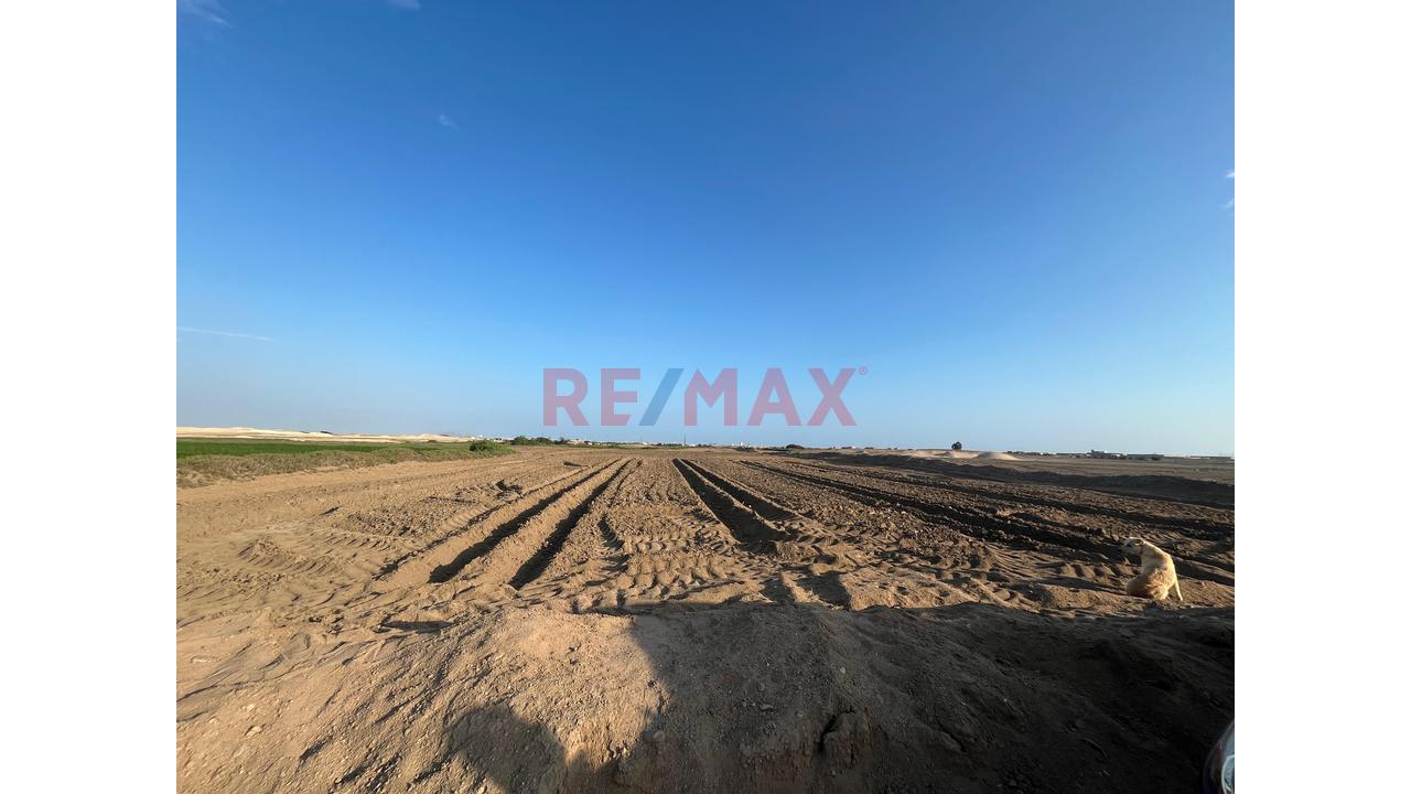 Terreno Rústico De 14,540 M² En Santa Rosa – Lambayeque - 2