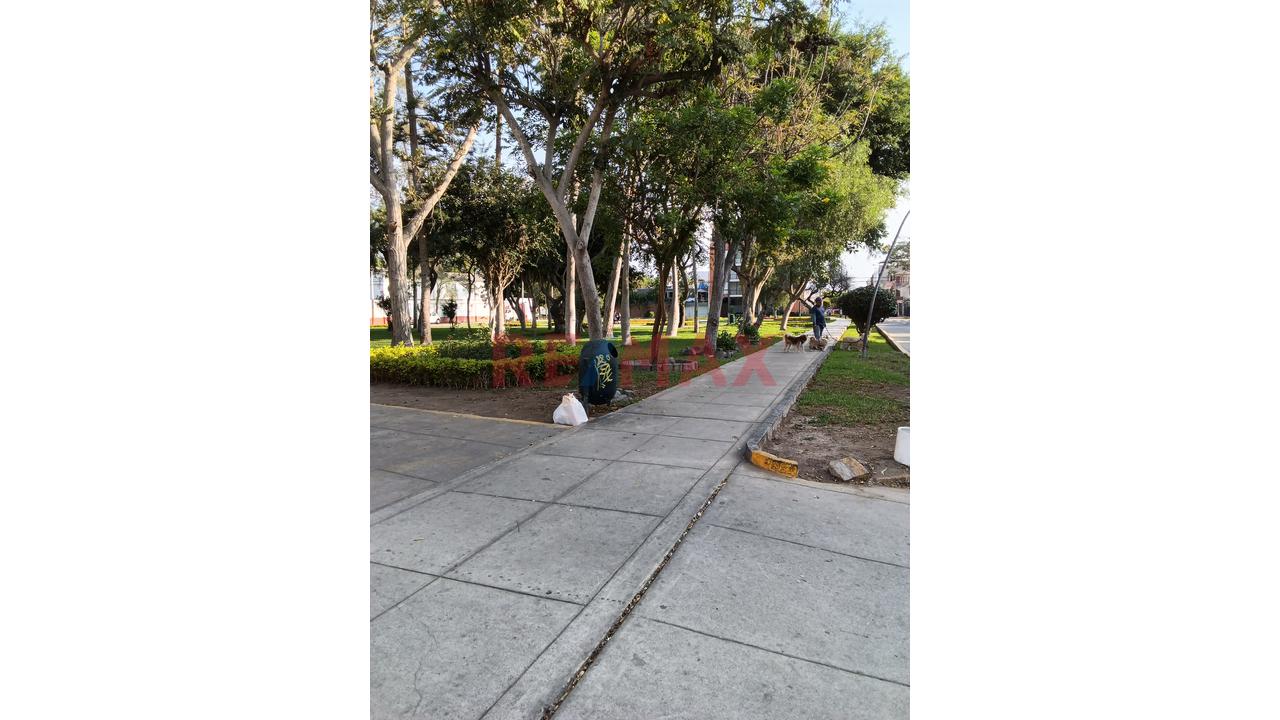 Alquiler Monoambiente En Jr Cosmos, Surco, Rodeada De Áreas Verdes — foto 3