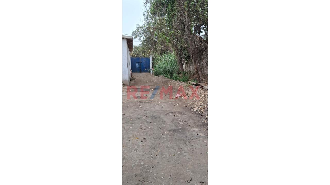 Terreno Industrial De 800 M² En Alquiler — foto 7