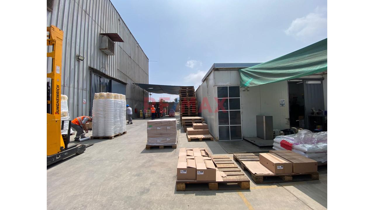 Se Vende Local Equipado Para Almacen Y Produccion De Alimentos Agricolas — foto 5