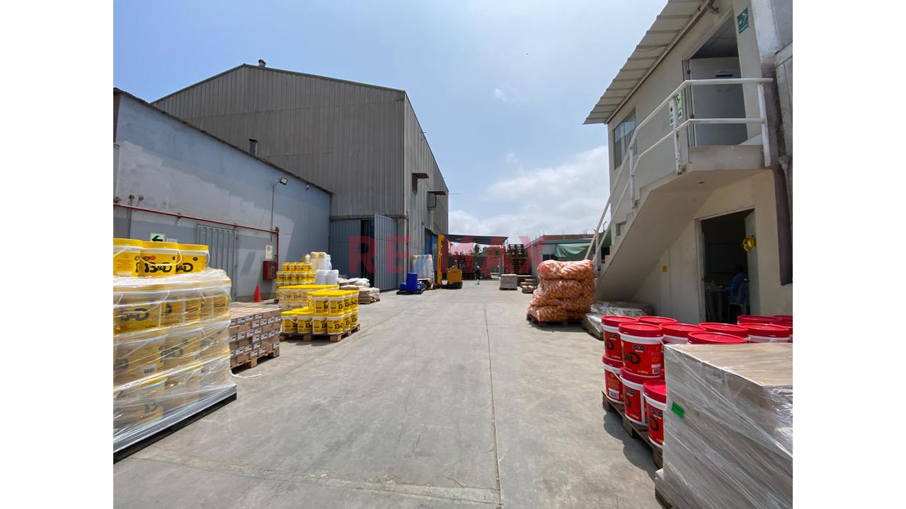 Se Vende Local Equipado Para Almacen Y Produccion De Alimentos Agricolas — foto 13