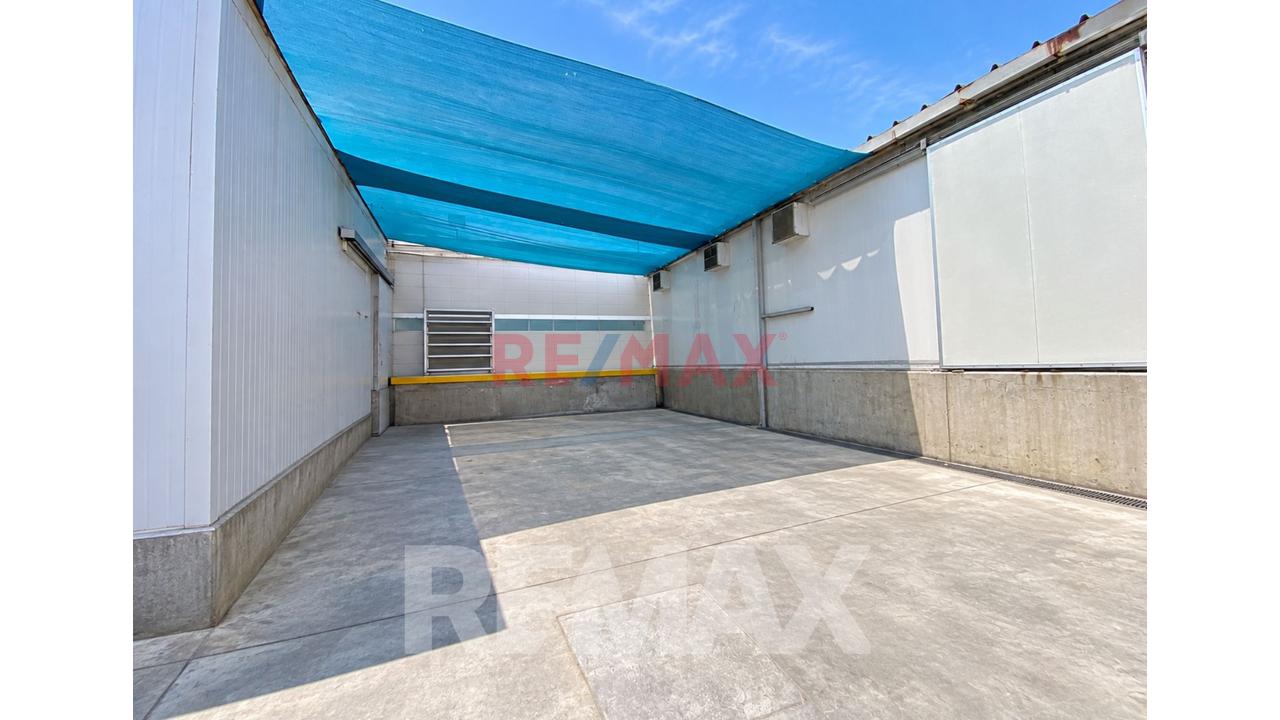 Se Vende Local Equipado Para Almacen Y Produccion De Alimentos Agricolas — foto 7
