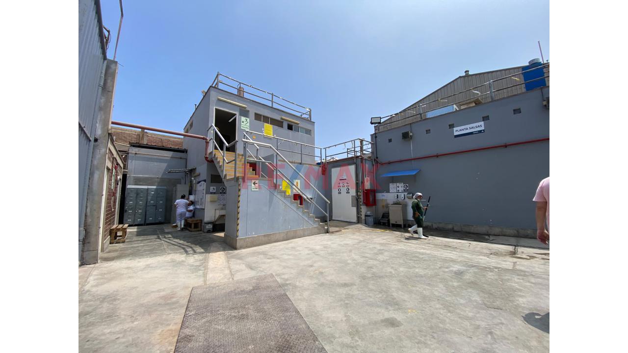 Se Vende Local Equipado Para Almacen Y Produccion De Alimentos Agricolas — foto 15