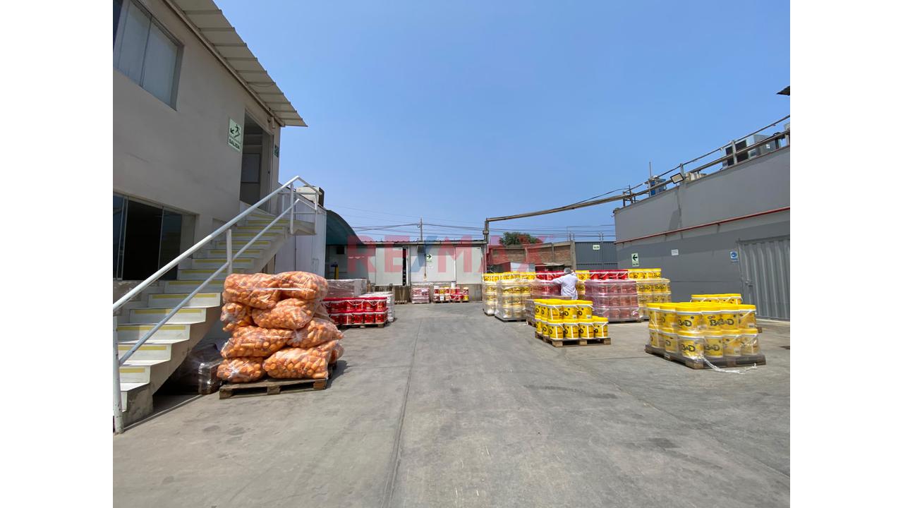 Se Vende Local Equipado Para Almacen Y Produccion De Alimentos Agricolas — foto 14