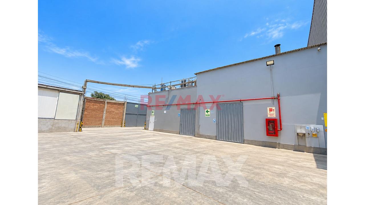Se Vende Local Equipado Para Almacen Y Produccion De Alimentos Agricolas — foto 6