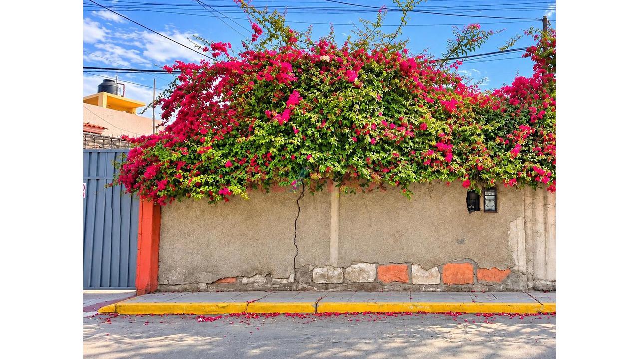 ¡Venta De Casa Como Terreno En Huaranguillo – Sachaca!