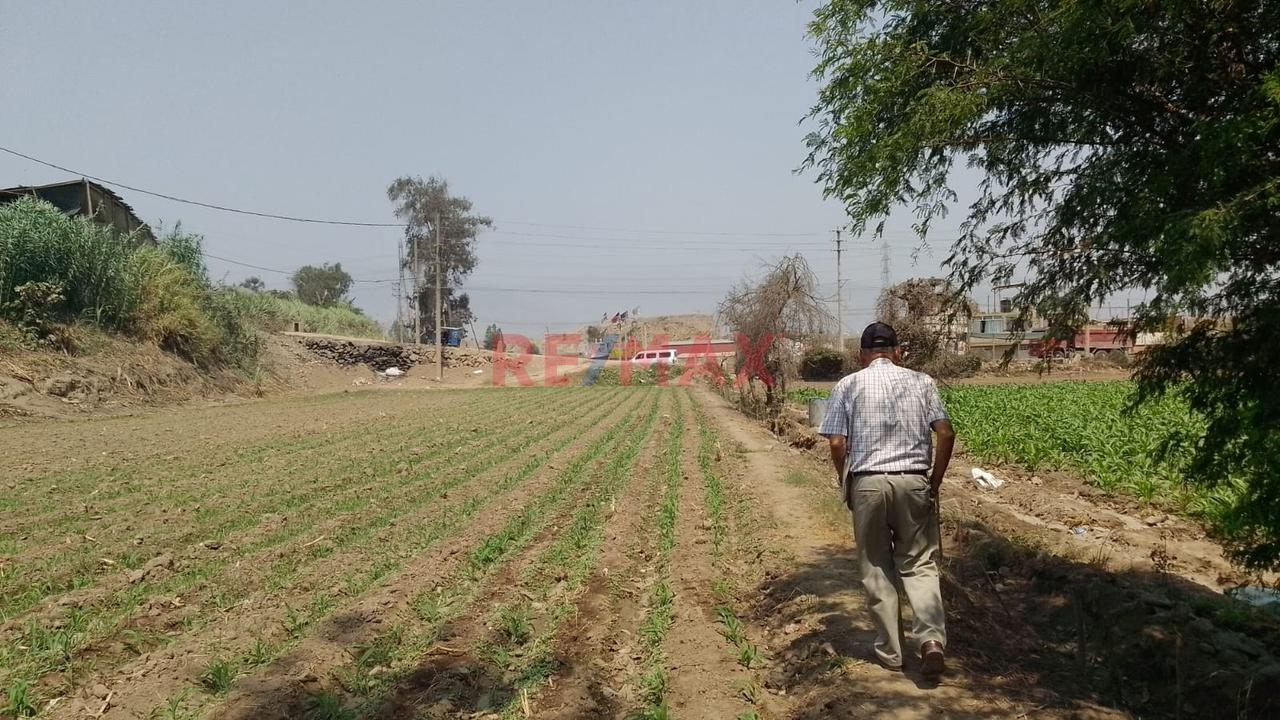 Terreno Agrícola En Venta – 5,000 M² En Carabayllo — foto 2