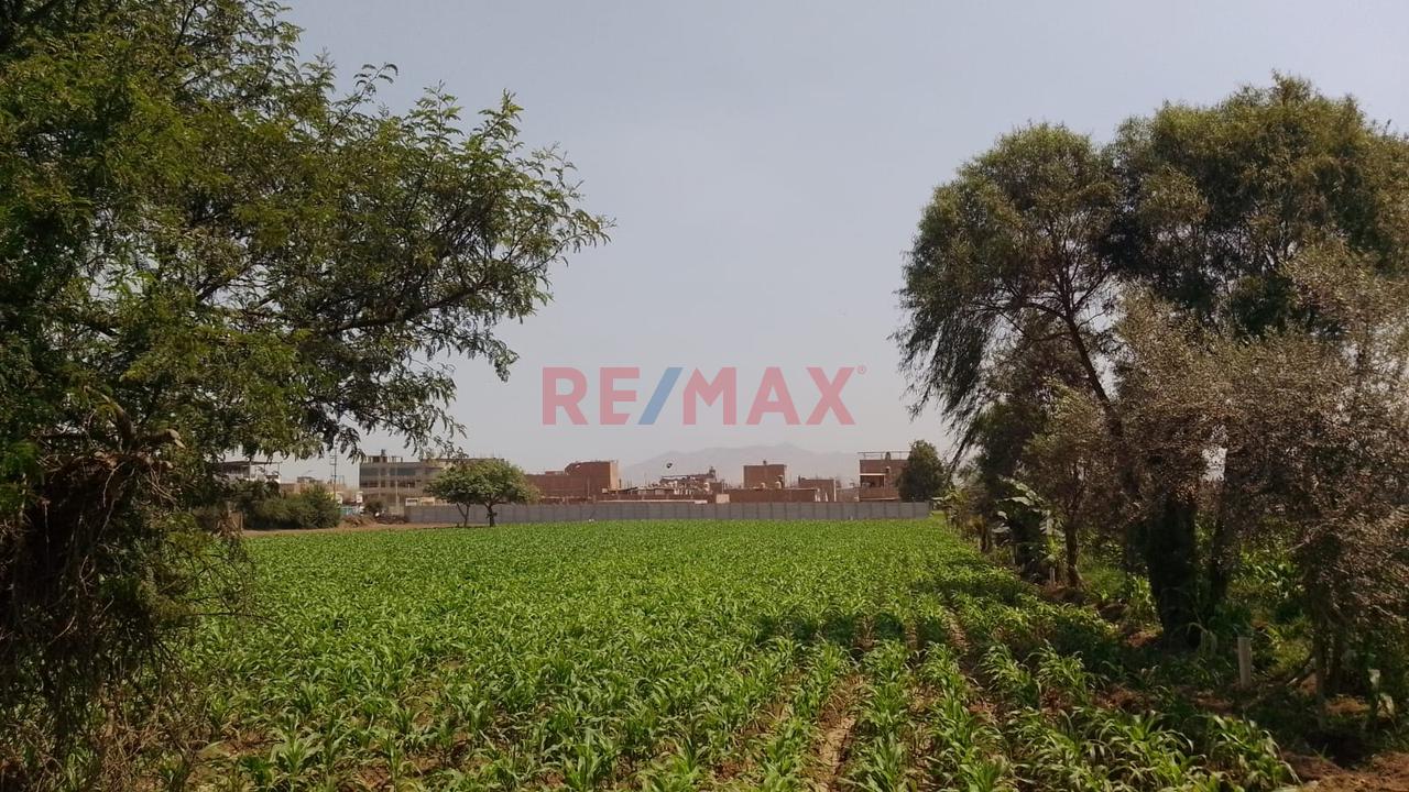 Terreno Agrícola En Venta – 5,000 M² En Carabayllo