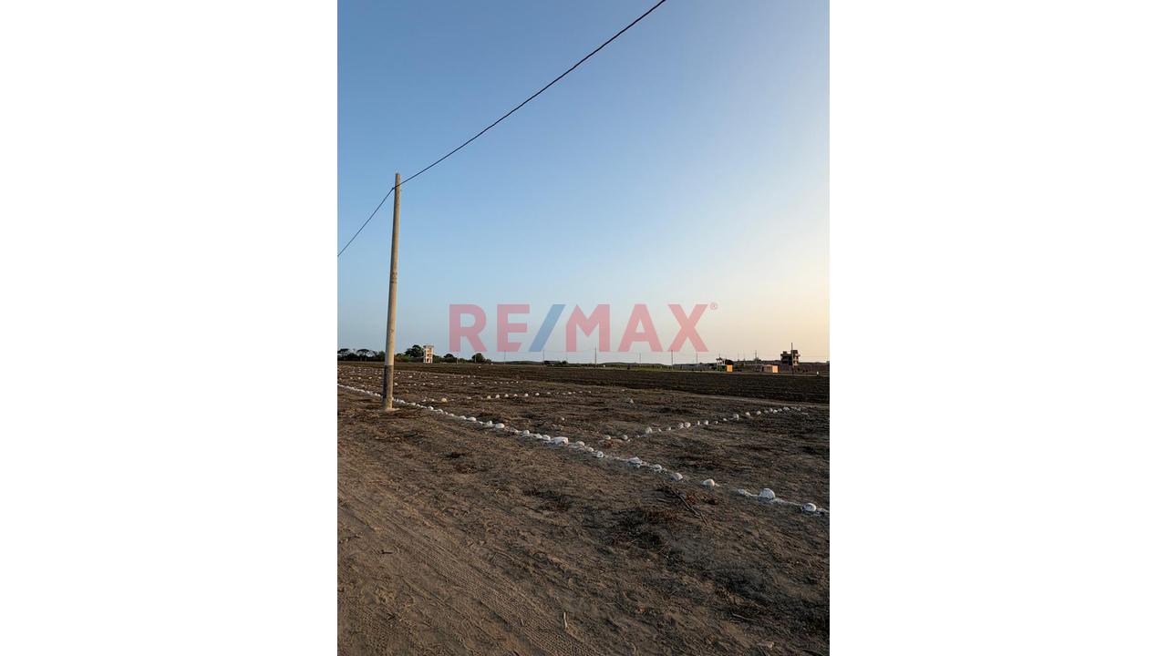 🛥️ Lote De 120.45 M² — Chancay, Fundo Las Salinas 📍 Cerca Panamericana Norte • Visible Al Megapuerto - 6