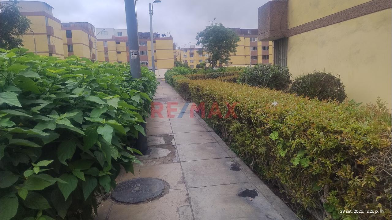 1. 🏡 ¡Vive En La Mejor Ubicación De Ciudad Satélite Santa Rosa, Callao! — foto 13