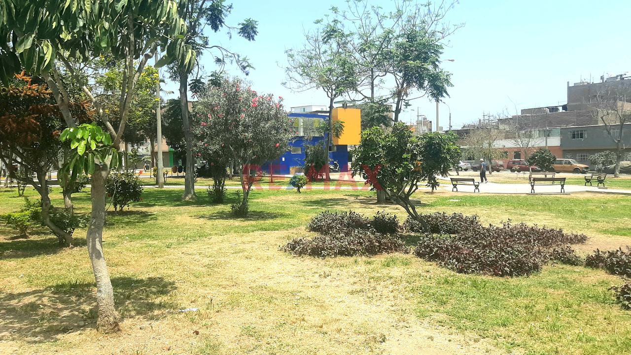 Casa Frente A Parque Urb. Ingieneria — foto 4