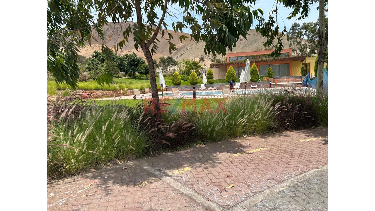 El Terreno De Tus Sueños, En Venta San Antonio De Cañete — foto 2