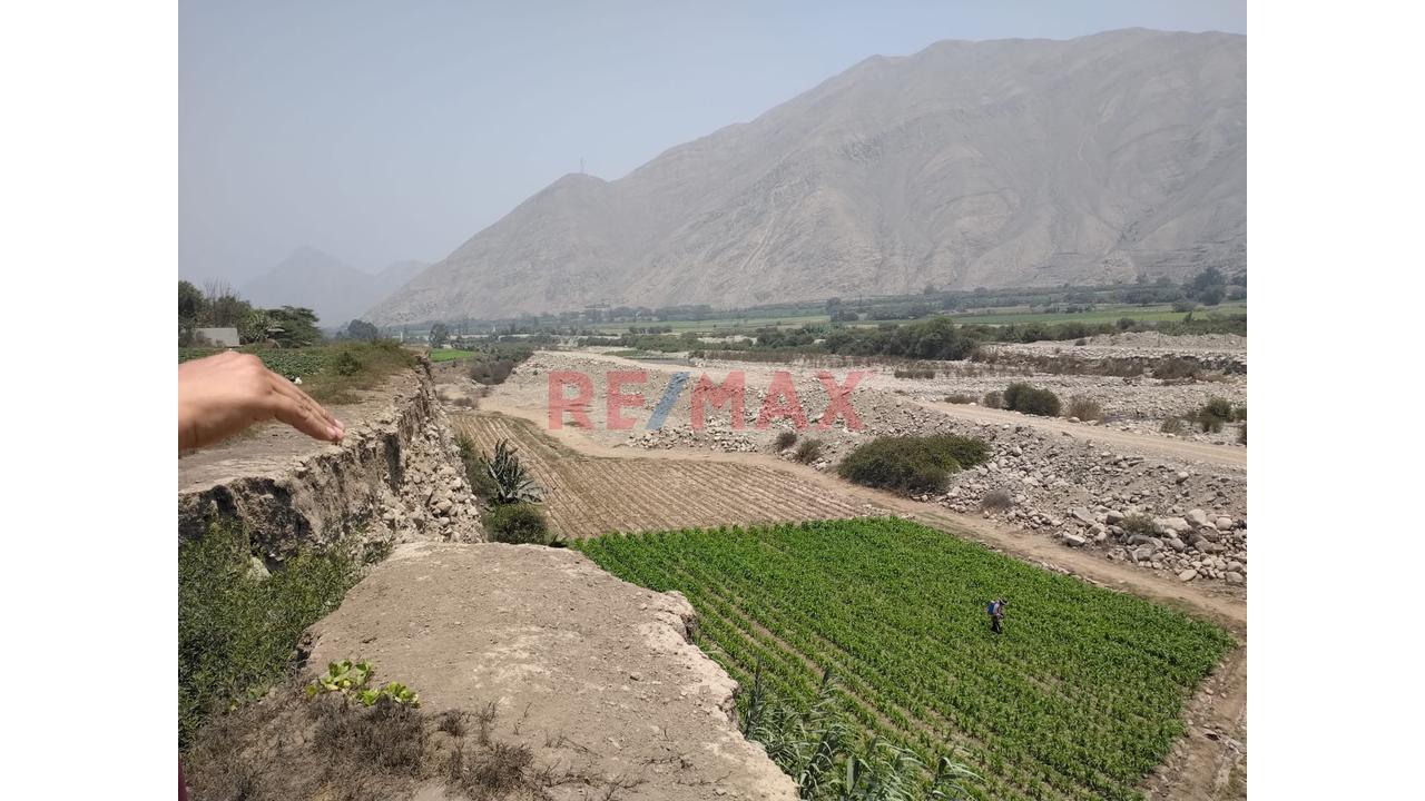 Oportunidad De Inversión - Terreno Rustico En Venta - 7
