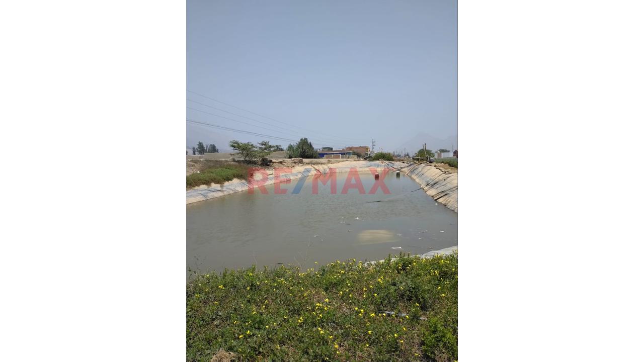 Oportunidad De Inversión - Terreno Rustico En Venta - 3