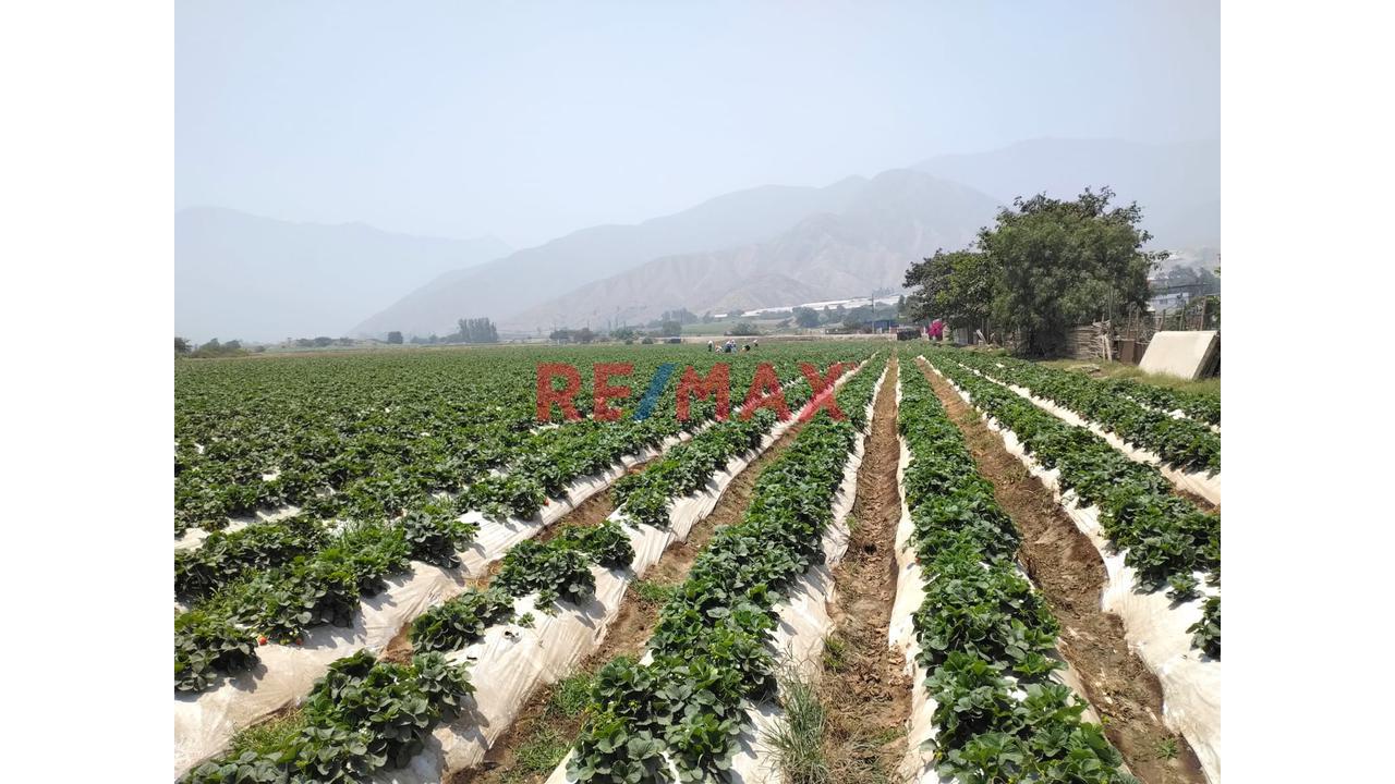 Oportunidad De Inversión - Terreno Rustico En Venta - 1