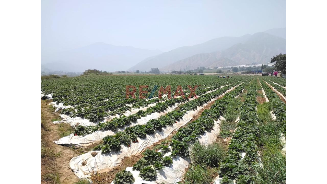 Oportunidad De Inversión - Terreno Rustico En Venta - 6