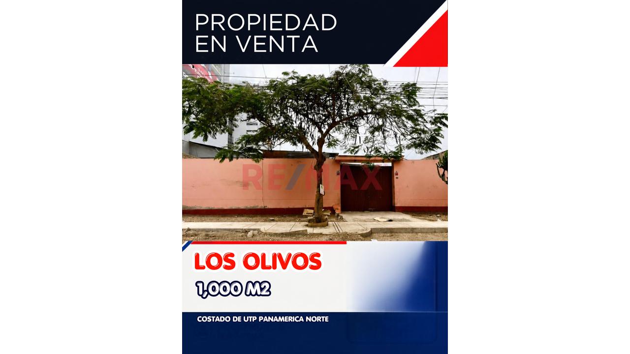 1,000 M² En San Lino, Los Olivos, Con 20 M De Frente Y 50 M De Fondo. Zonificación Vivienda Taller (Vt), Topografía Plana Y Ubicación Estratégica A Pocos Metros De La Utp. — foto 2