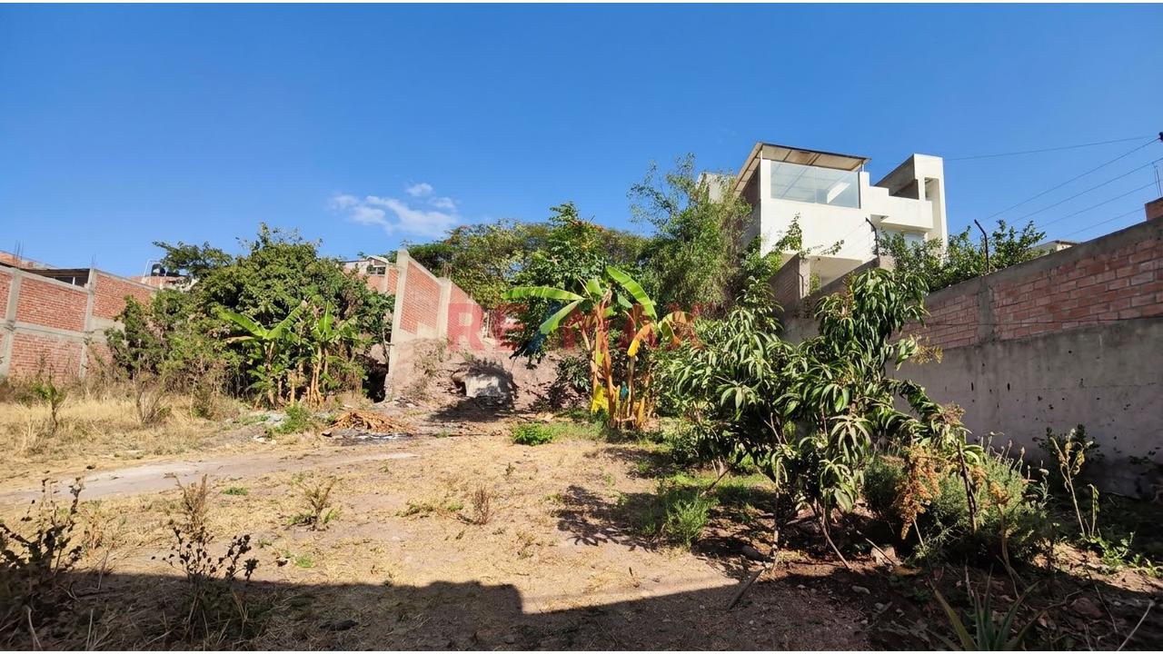 🏡🌳 Casa + Terreno En Venta En Cocachacra, Huarochirí | 576.52 M² | Usd 300,000 — foto 10
