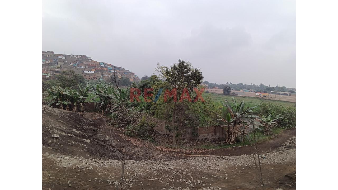 Excelente Oportunidad De Inversion, Venta Terreno En Asociación Monterrico, Av. José Saco Rojas - Carabayllo - 2