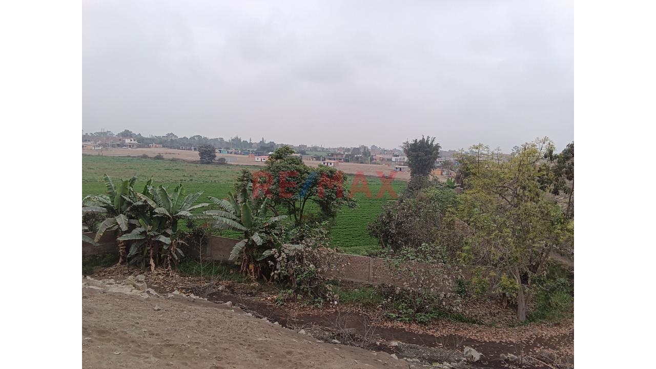 Excelente Oportunidad De Inversion, Venta Terreno En Asociación Monterrico, Av. José Saco Rojas - Carabayllo - 5