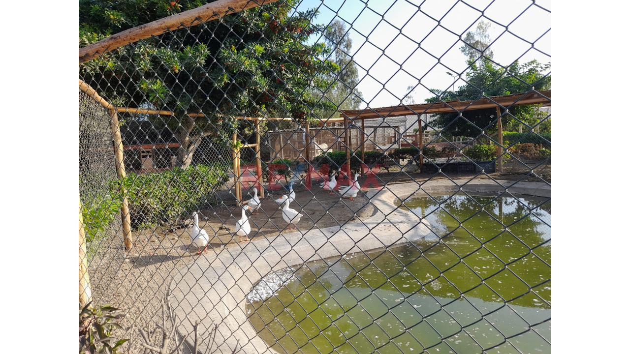 Terreno En Asia Campo — foto 10