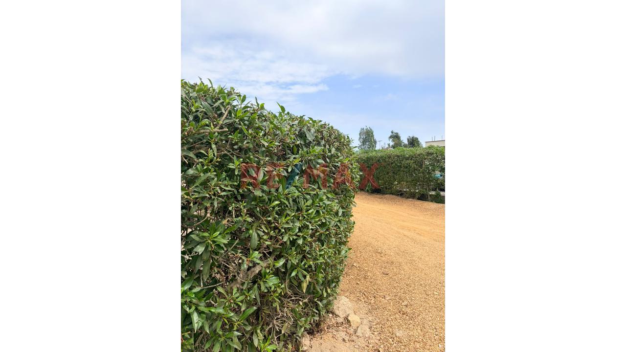 Terreno En Asia Campo — foto 8