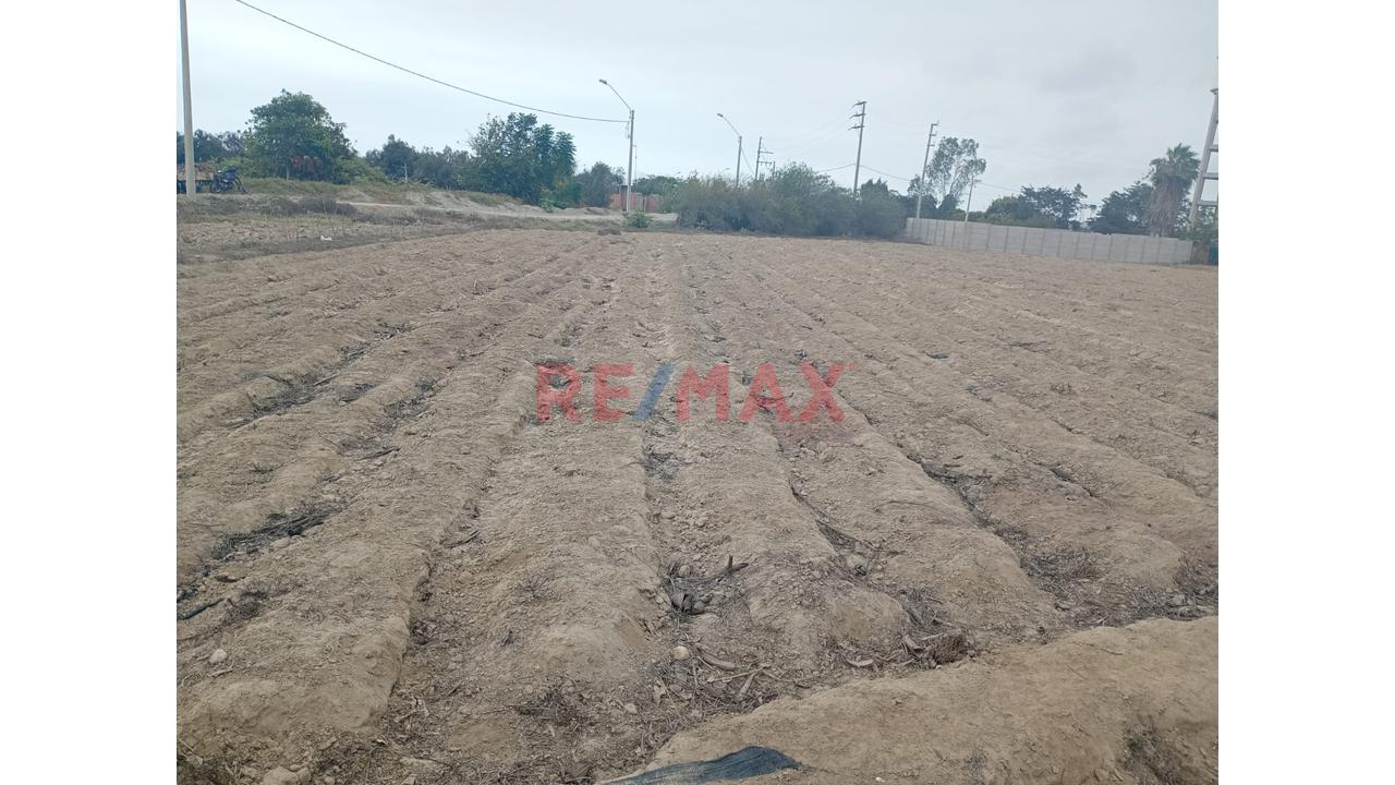 🌴 Gran Terreno De 5,300 M² En El Platanal, Asia | Ideal Para Condominio — foto 2