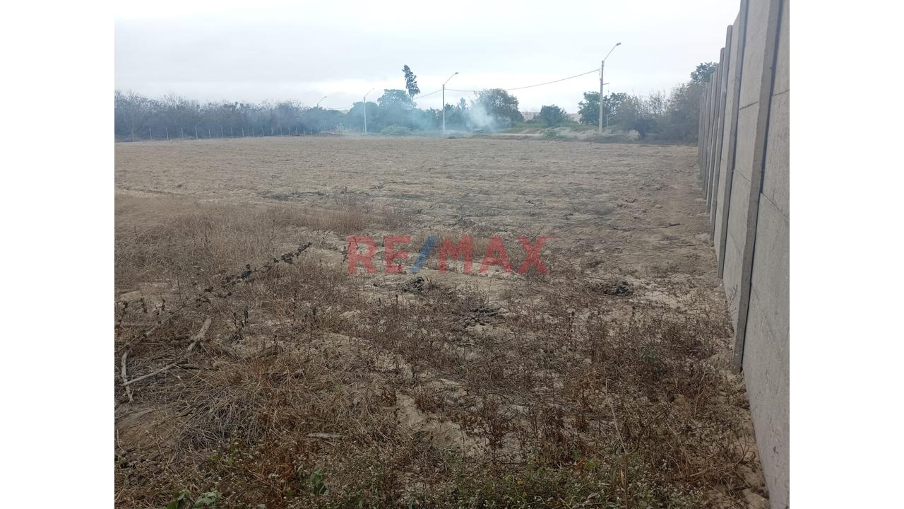 🌴 Gran Terreno De 5,300 M² En El Platanal, Asia | Ideal Para Condominio — foto 7