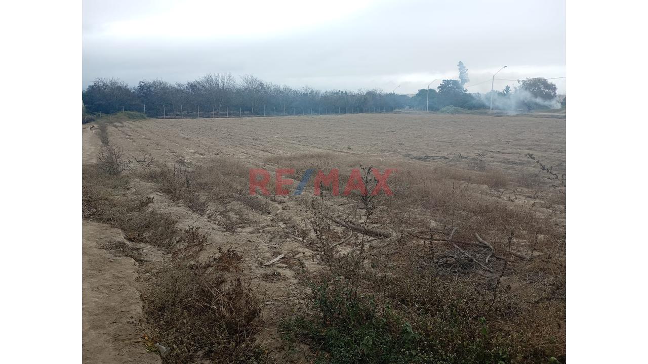 🌴 Gran Terreno De 5,300 M² En El Platanal, Asia | Ideal Para Condominio — foto 4