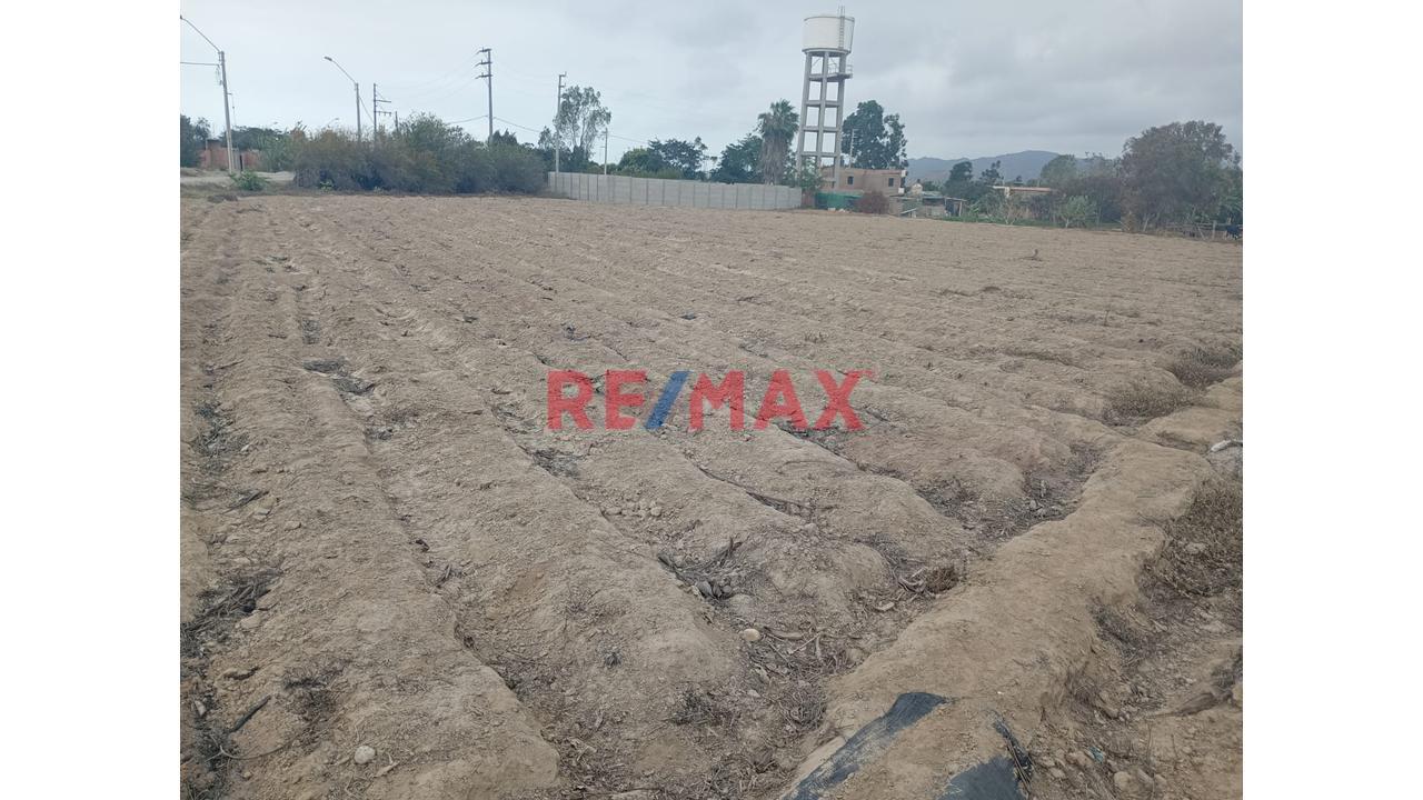 🌴 Gran Terreno De 5,300 M² En El Platanal, Asia | Ideal Para Condominio