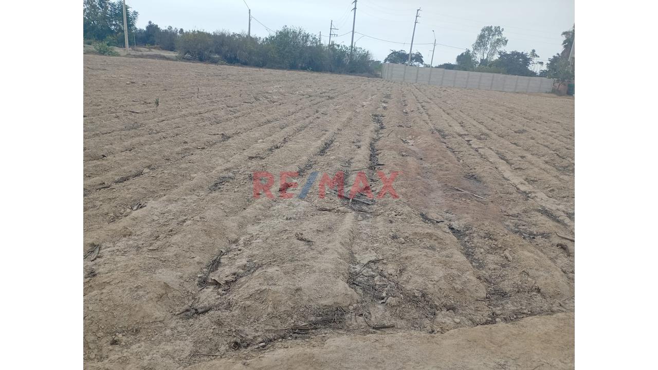 🌴 Gran Terreno De 5,300 M² En El Platanal, Asia | Ideal Para Condominio — foto 8