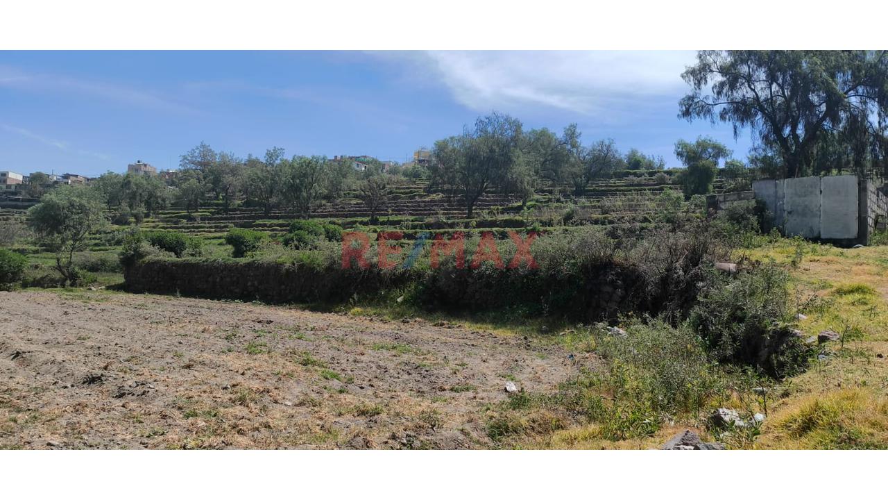 Tu Terreno Con Vista Privilegiada Y Gran Potencial Agrícola! — foto 4