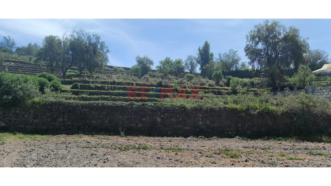 Tu Terreno Con Vista Privilegiada Y Gran Potencial Agrícola! — foto 3