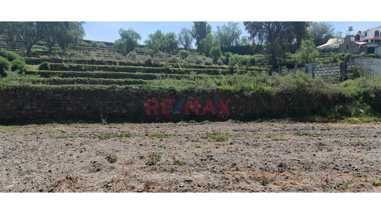 Tu Terreno Con Vista Privilegiada Y Gran Potencial Agrícola!