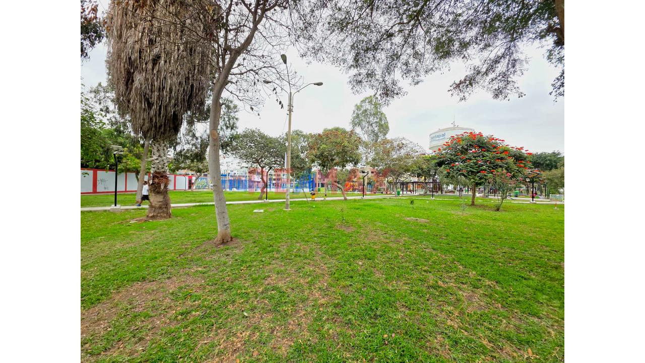 🏠✨ ¡𝗗𝗘𝗣𝗔𝗥𝗧𝗔𝗠𝗘𝗡𝗧𝗢 𝗘𝗡 𝗩𝗘𝗡𝗧𝗔 – 𝗟𝗢𝗦 𝗢𝗟𝗜𝗩𝗢𝗦! ✨🏠 — foto 12