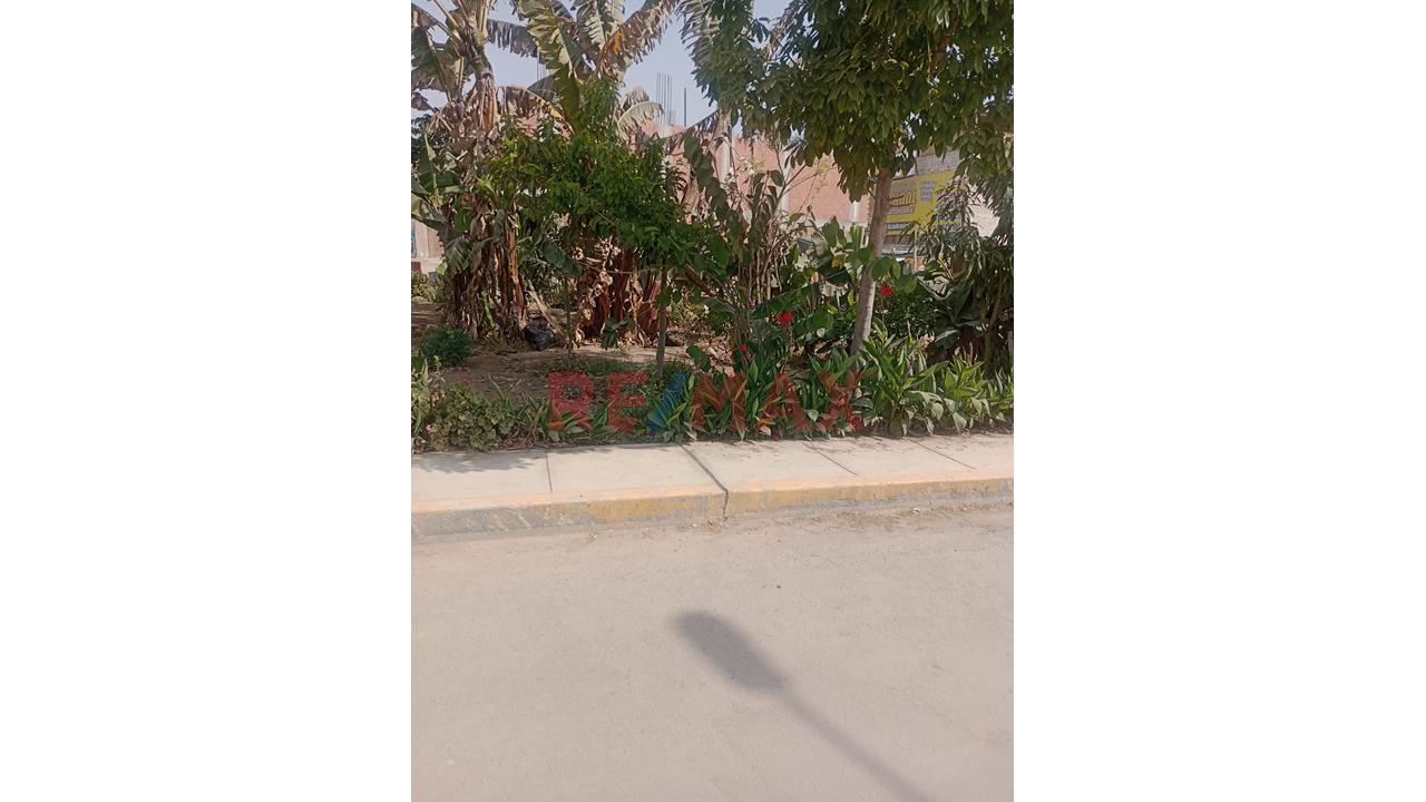Venta De Terreno En Carabayllo — foto 6