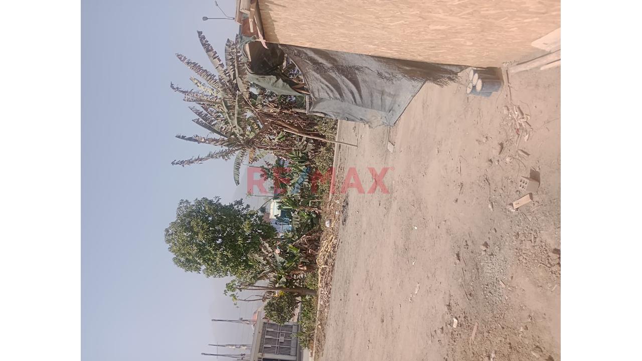 Venta De Terreno En Carabayllo - 18