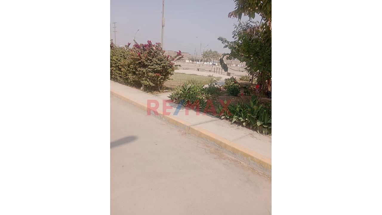 Venta De Terreno En Carabayllo — foto 4
