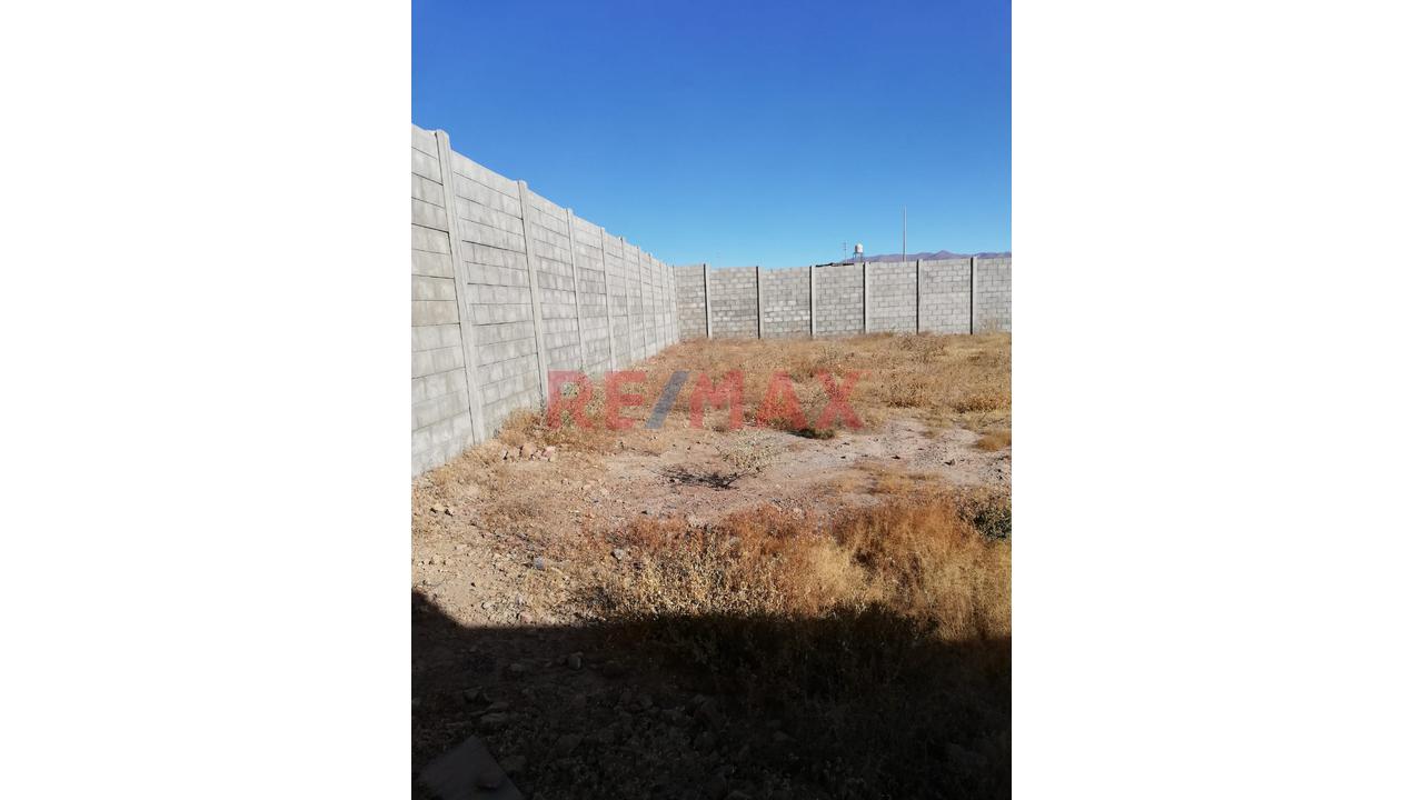 Terreno En Alquiler De 600M2 - Mollebaya - 4