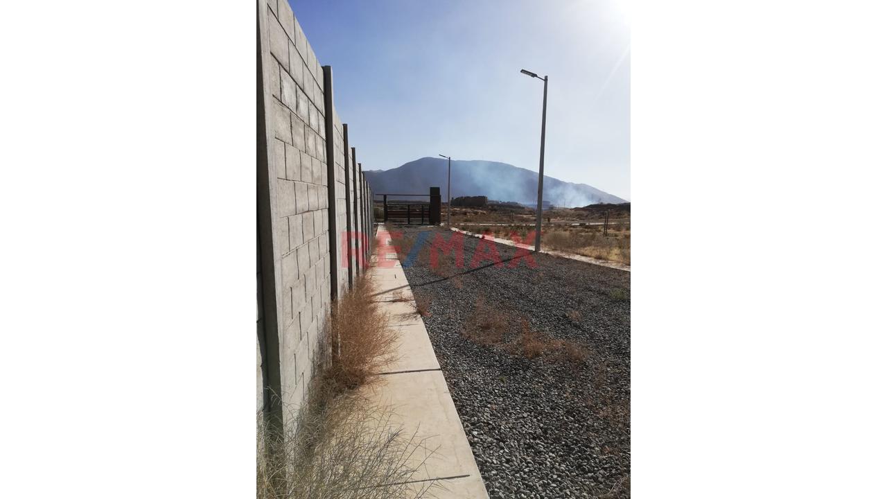 Terreno En Alquiler De 600M2 - Mollebaya - 5