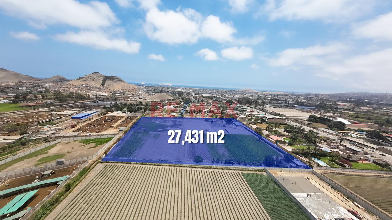 Terreno En Venta De 27,431 M² En Lurín – Ideal Para Proyectos De Inversión — foto 9
