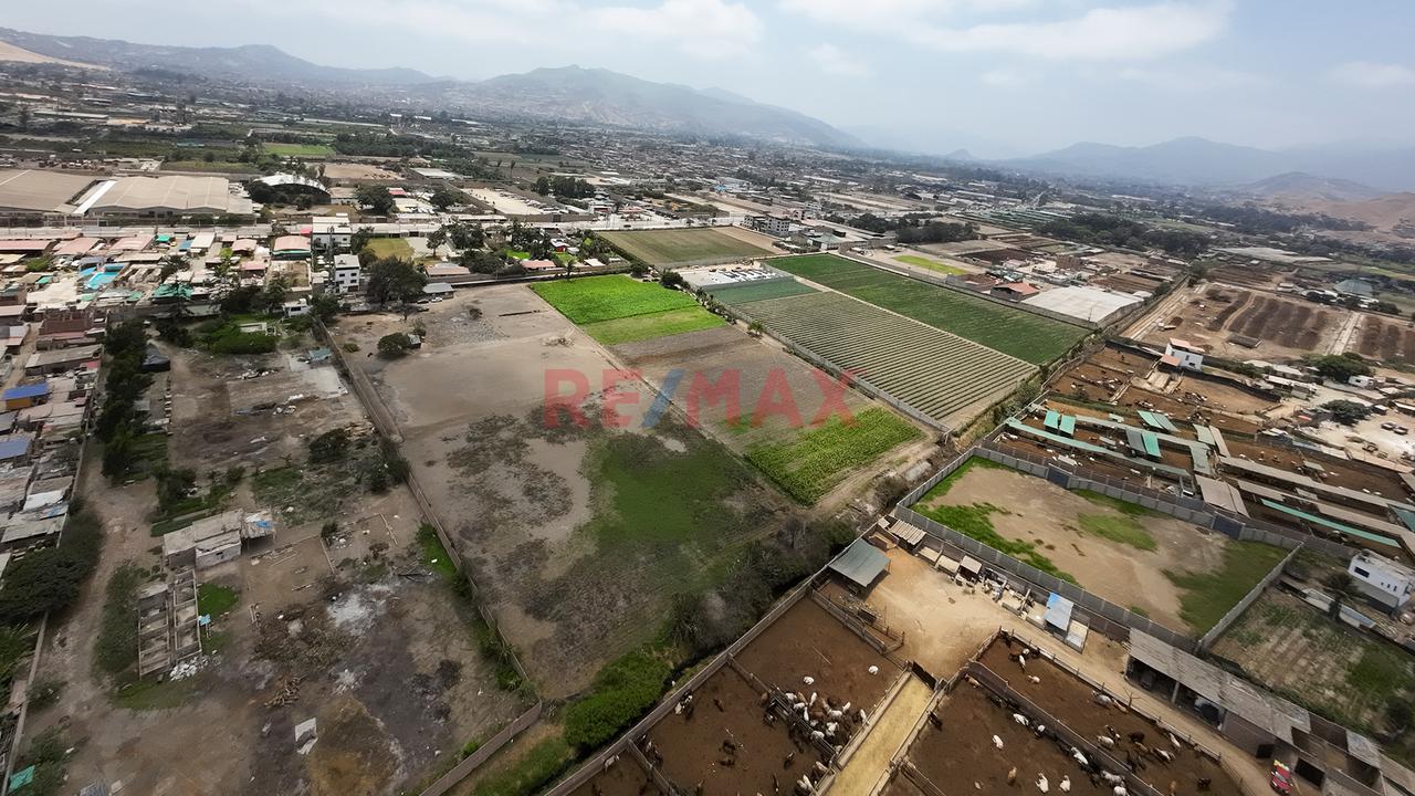 Terreno En Venta De 27,431 M² En Lurín – Ideal Para Proyectos De Inversión — foto 3