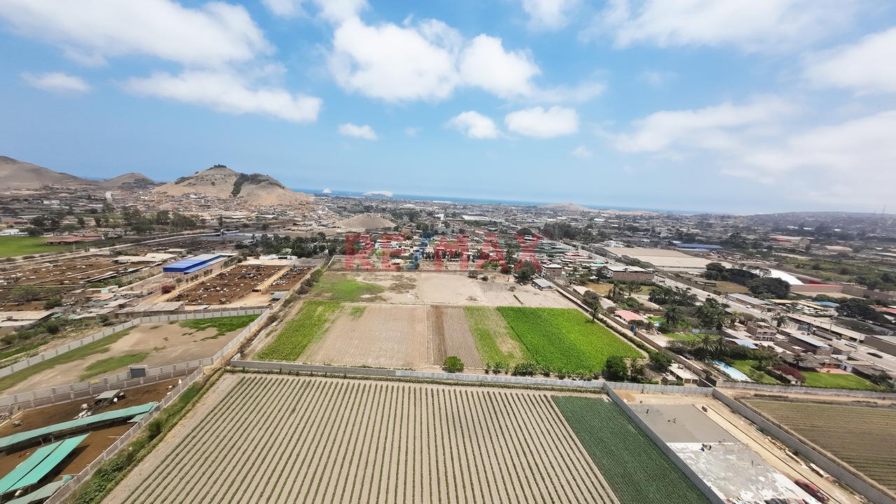 Terreno En Venta De 27,431 M² En Lurín – Ideal Para Proyectos De Inversión — foto 4