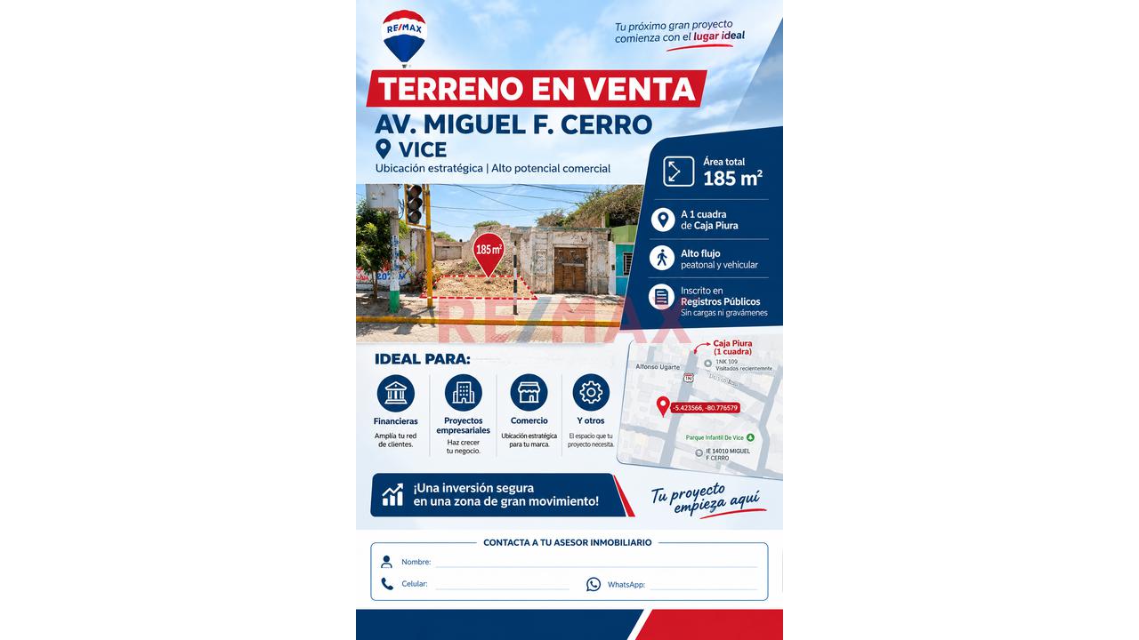 Terreno En Venta Av, Principal De Vice - 1