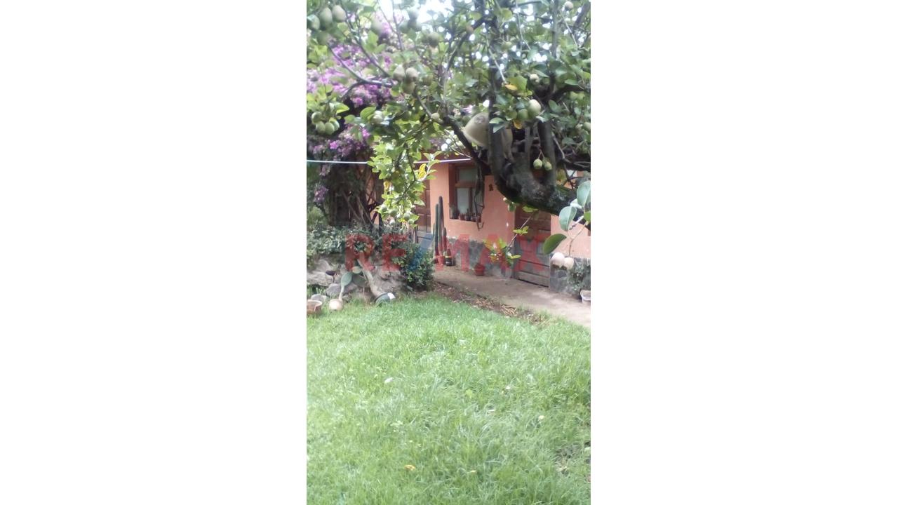 🚨🏡 ¡Excelente Inversión! Casa Como Terreno En Calca – Cusco 🏡✨ — foto 2