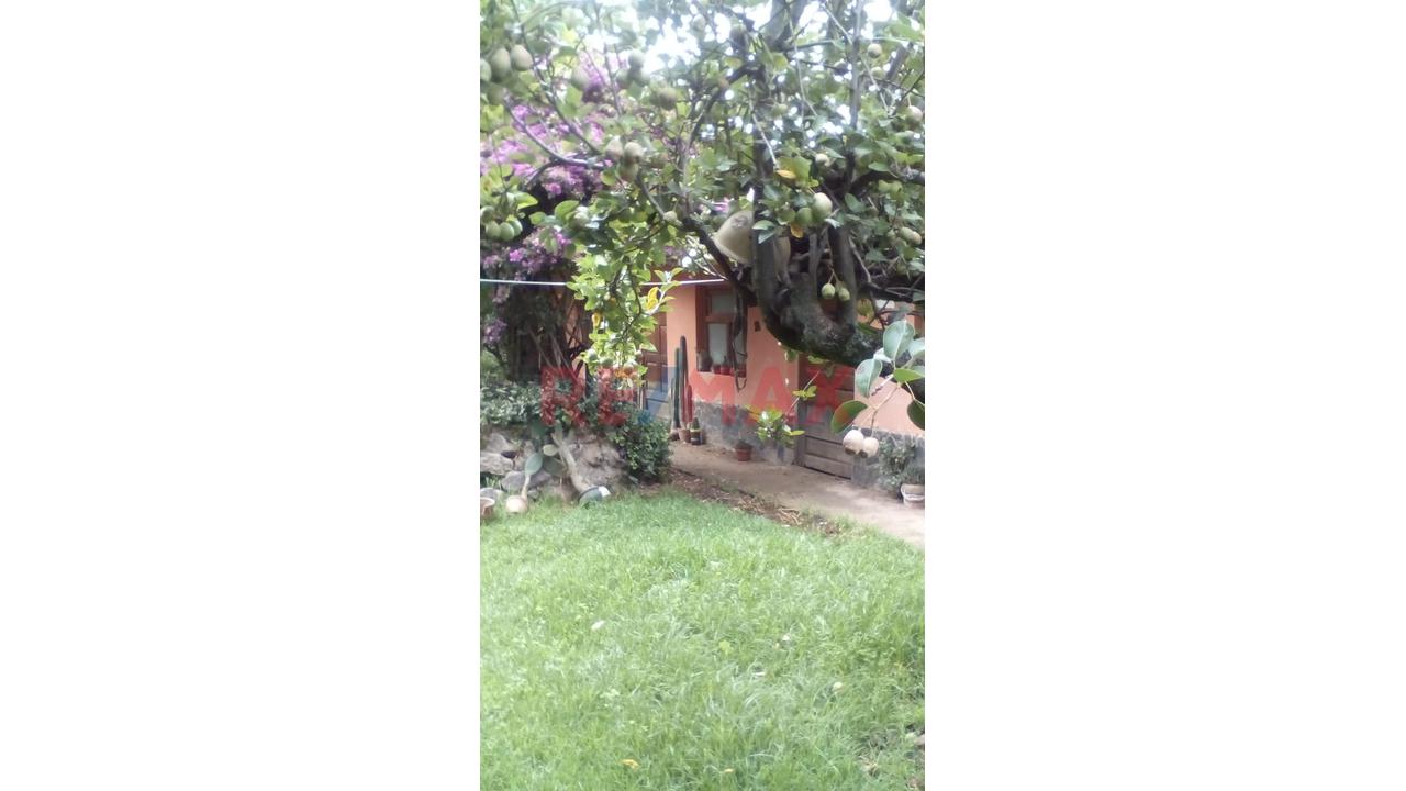 🚨🏡 ¡Excelente Inversión! Casa Como Terreno En Calca – Cusco 🏡✨ — foto 9