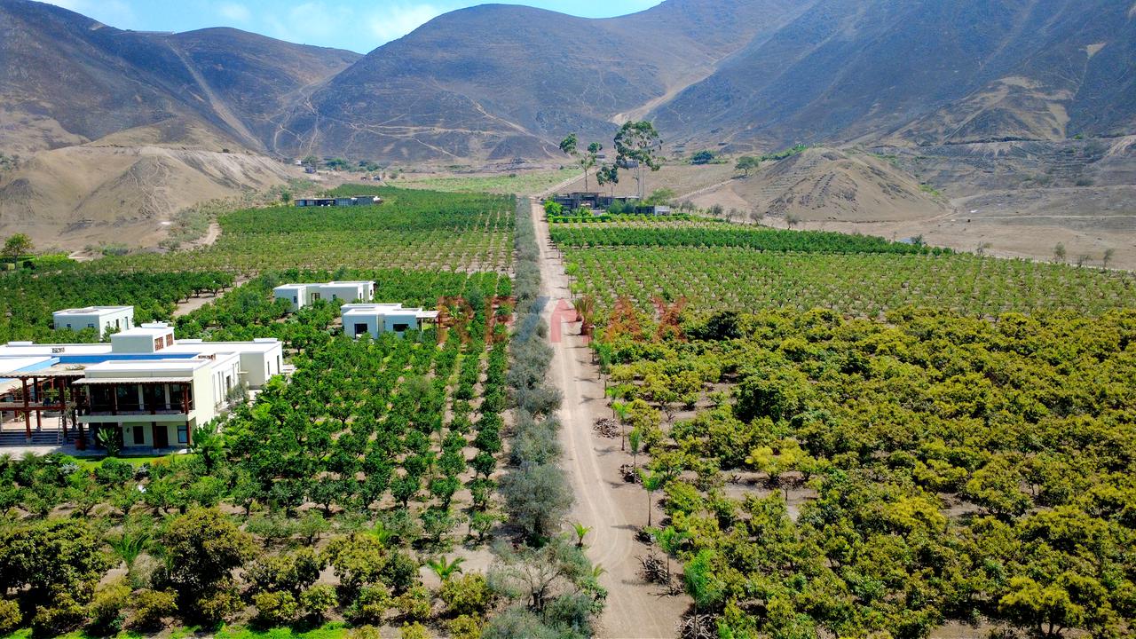 🌿 Tu Propio Lugar En El Valle De Azpitia — foto 2