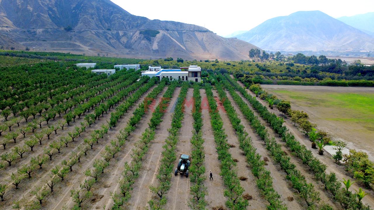 🌿 Tu Propio Lugar En El Valle De Azpitia — foto 6